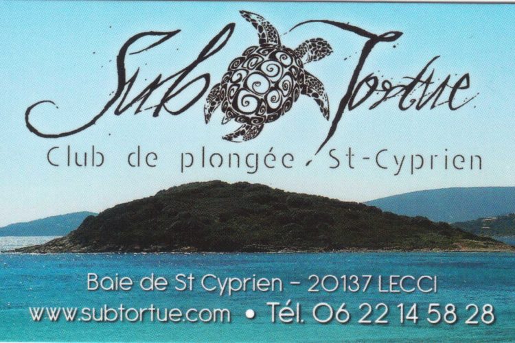 1 - Subtortue